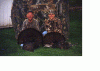 25552-Double.gif