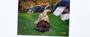 26814-__tn_collection 017.jpg