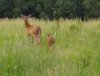 27579-walking away.jpg
