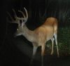 29347-big8.jpg