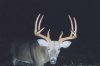32970-mrbig.jpg