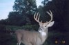 32990-jcam1.jpg