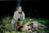 33097-JH   elk.jpg