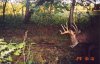 33305-toscrape.jpg
