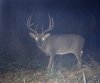 33894-CoachCam_Big8.jpg