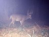 34020-CoachCam_A.jpg