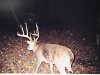 34287-Jeff Bickel 3.jpg