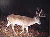 34290-Jeff Bickel 1.jpg