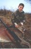 24929-Taylorsdeer.JPG