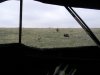 DSCN0985.JPG