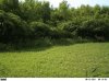 PICT0096.jpg