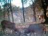 ForumRunner_20111022_221237.jpg