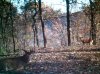 ForumRunner_20111022_221256.jpg