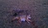 ForumRunner_20120128_205402.jpg