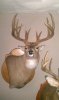ForumRunner_20120221_171100.jpg