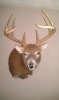 ForumRunner_20120222_105755.jpg
