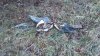 ForumRunner_20120302_065324.jpg