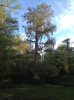 image-3010592895.jpg