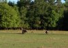 image-1253947108.jpg
