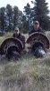 ForumRunner_20120419_161954.jpg