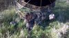 ForumRunner_20120423_165000.jpg