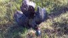 ForumRunner_20120423_165114.jpg