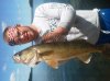 ForumRunner_20120625_131605.jpg
