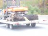 Trailer-Moose.jpg