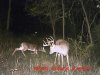 MDGC0024.1.jpg