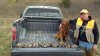 harley quail 2.jpg harley quail 2.jpg