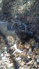ForumRunner_20121013_161118.jpg