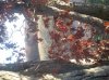 ForumRunner_20121025_144333.jpg