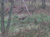 ForumRunner_20121104_093814.jpg