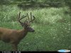 Highland 8-13-12 018.jpg