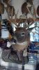 ForumRunner_20121112_050947.jpg