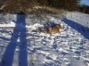 ForumRunner_20130111_120442.jpg