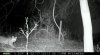 ForumRunner_20130225_162521.jpg
