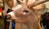ForumRunner_20130313_205904.jpg