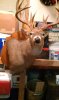ForumRunner_20130313_205947.jpg