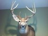 ForumRunner_20130422_215045.jpg