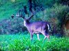 ForumRunner_20130422_215411.jpg