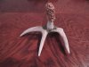 RaffleAuctionItems 015.jpg