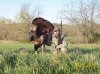 2013 Spring Turkey 004.jpg
