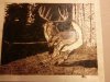 RaffleAuctionItems040.jpg