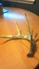 RaffleAuctionItems 037.jpg