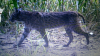 ForumRunner_20130806_200648.png