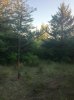 image-368704499.jpg
