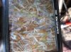 ForumRunner_20131016_161556.jpg