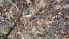 ForumRunner_20131018_191503.jpg