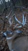 ForumRunner_20131117_202959.jpg
